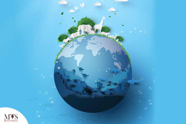 Characteristics of living things